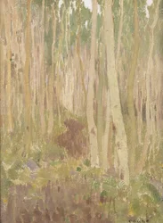 Symfonia Aspen, 1902